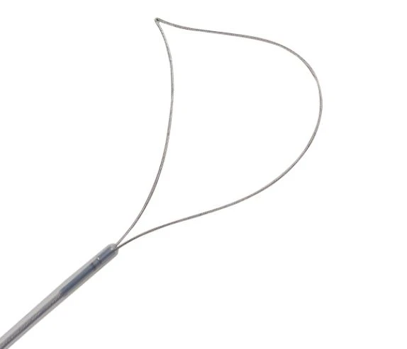 Disposable Endoscopic Polyp Snare